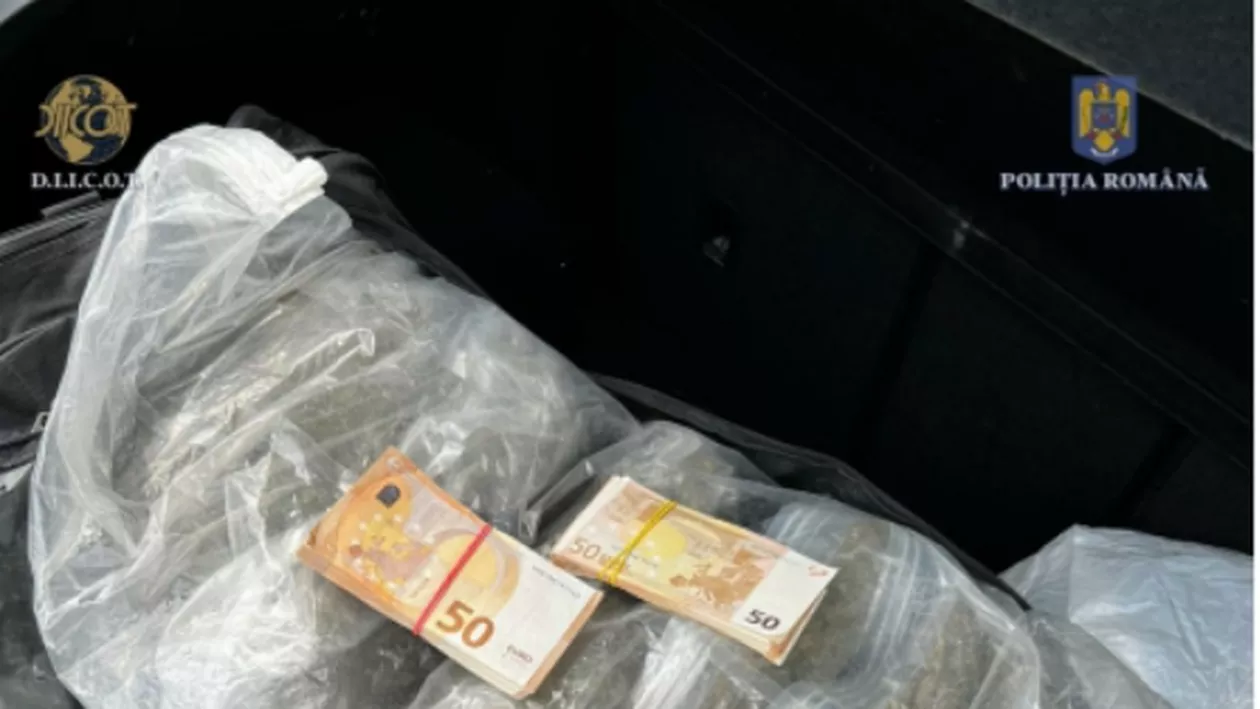 Infractorii străini vând droguri și bani falși în România, prin Telegram și au mii de clienți