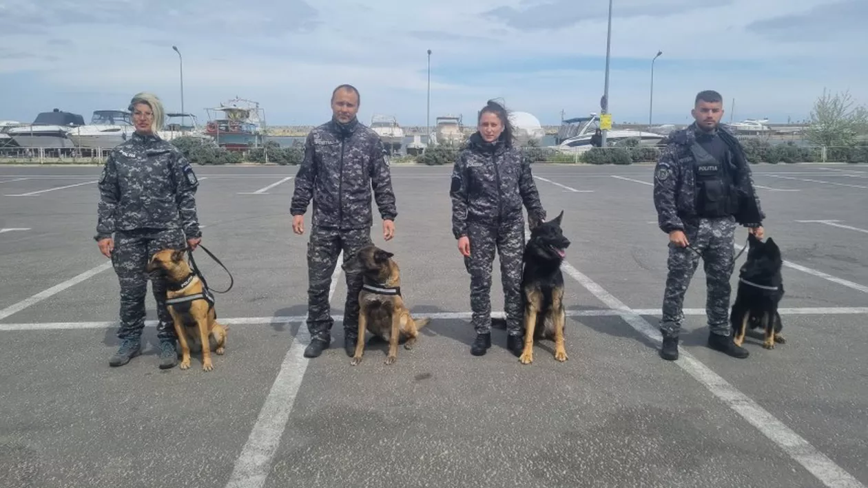 Peste 250 de polițiști, 160 de autospeciale, 10 aparate radare și echipaje canine vor acționa zilnic, în mini-vacanța de 1 mai, în județul Constanța
