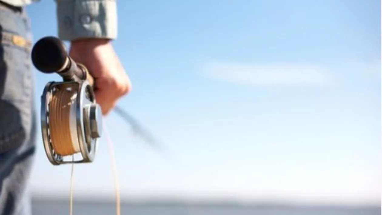 Doi pescari, acuzați că au pus plumb în pește ca să atârne mai mult la cântar / Cei doi vor sta zece zile după gratii