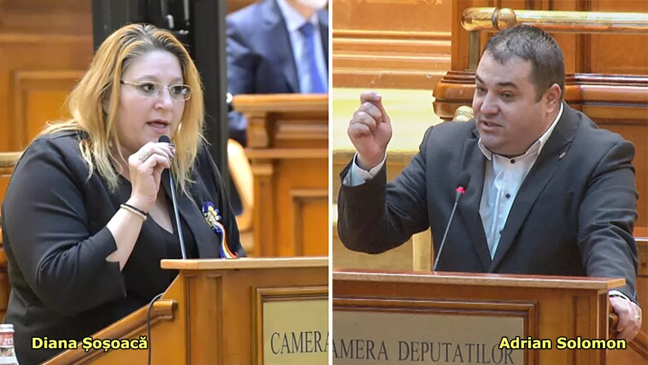 Schimb de insulte în Parlament, între Șoșoacă (ex-AUR) și Solomon (PSD): „Luați «dulapul» ăsta de aici!”/ „Dulap e mă-ta”