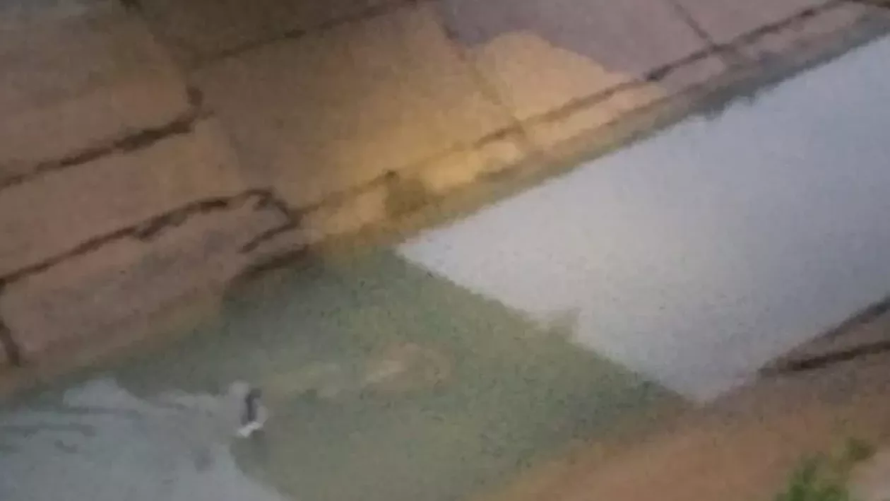 Copilul de 5 ani care a căzut cu bicicleta în canal a zăcut 8 ore în apă / Fratele său mai mare și prietenul lor nu au cerut ajutor, de frică să nu fie certați