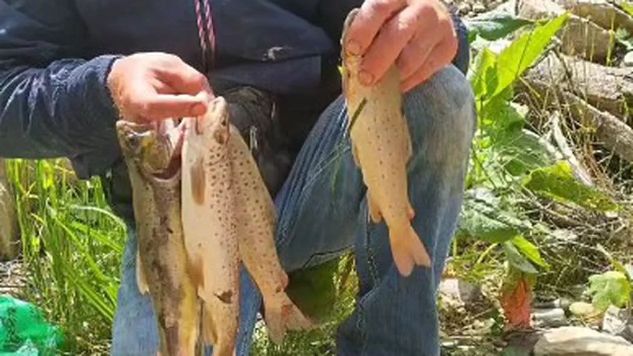Un băcăuan s-a lăudat pe Facebook cu peștii prinși. În loc de aprecieri, a primit vizita comisarilor Gărzii de Mediu