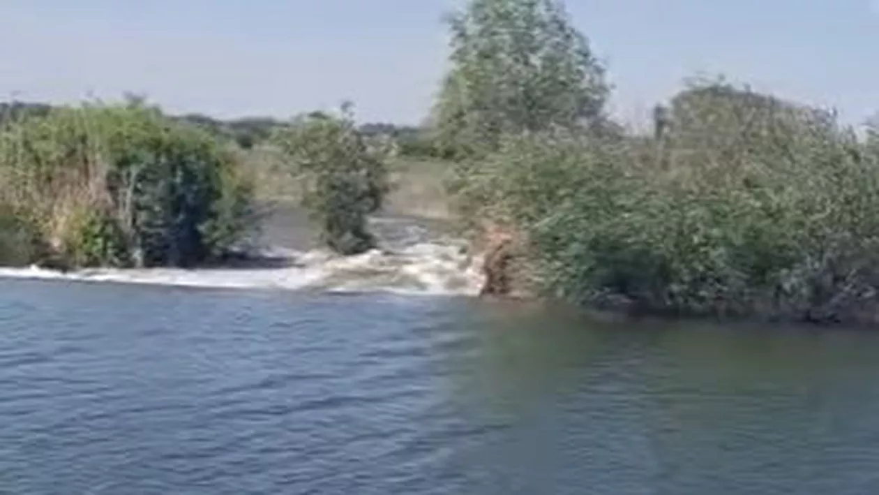 Alertă la Tulcea. Digul de protecție din zona Carasuhat s-a rupt și a inundat mai multe terenuri agricole