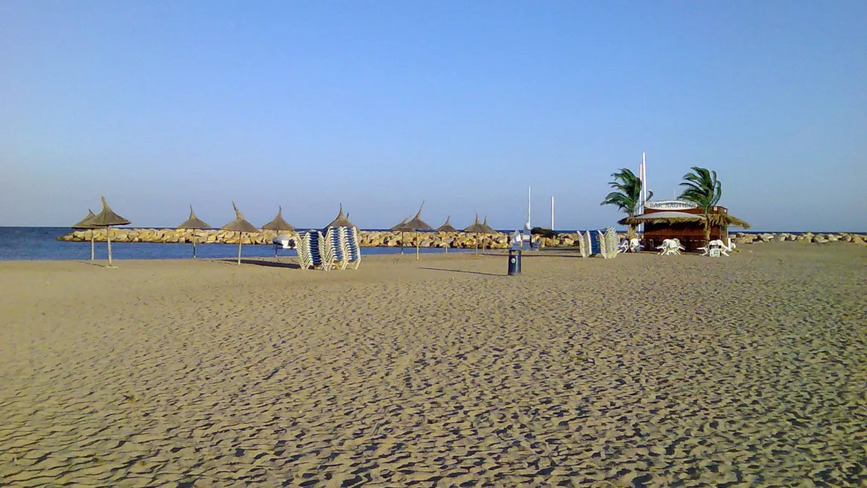 În scurt timp am putea mânca doradă de Marea Neagră. Biologii au adus 250 de puieți din Italia pentru a-i aclimatiza