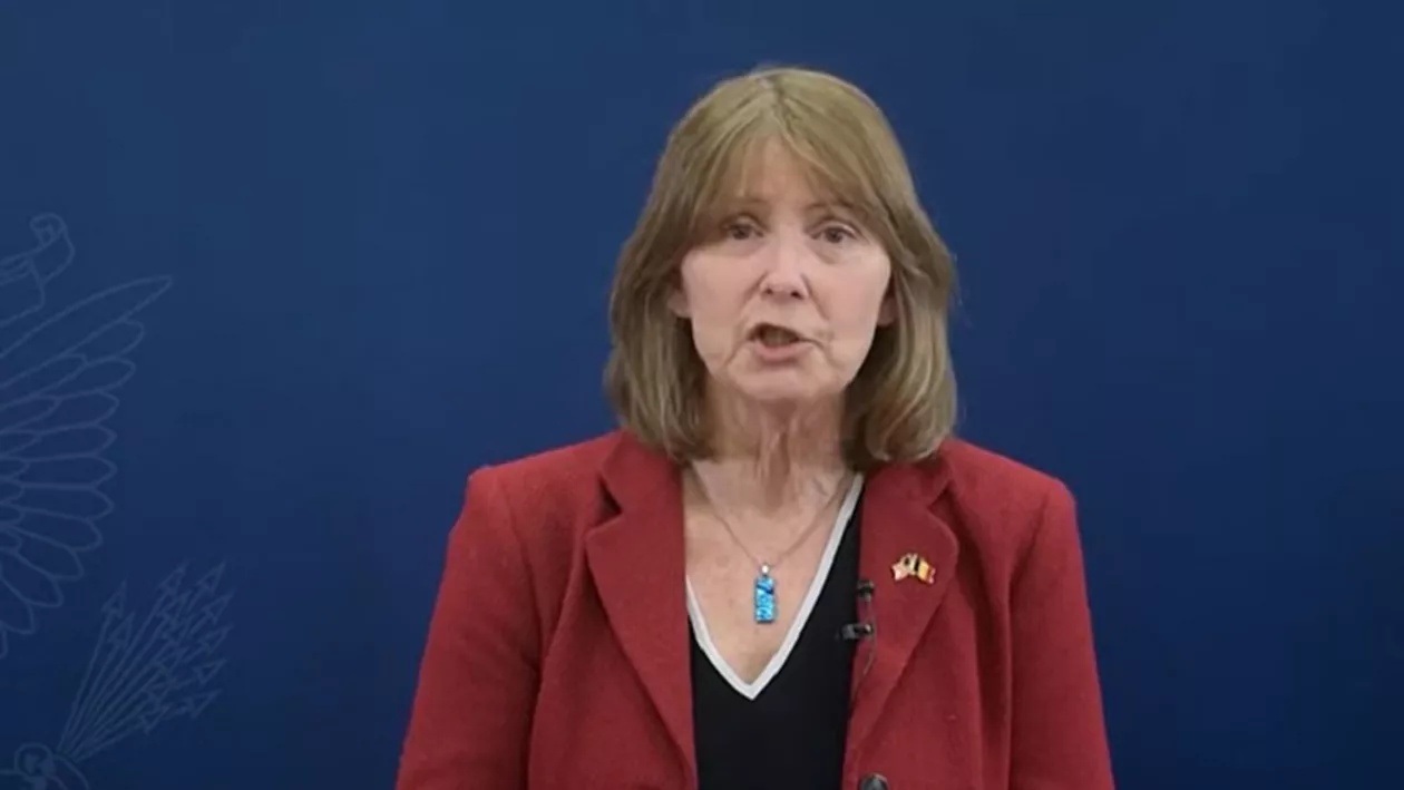 Ce spune ambasadoarea SUA despre candidatura lui Iohannis la NATO