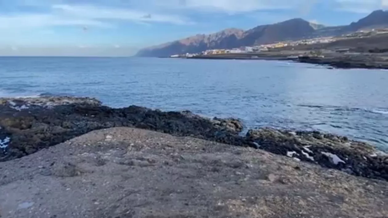 Descoperire unică pe malul Insulelor Canare: Cercetătorii au găsit o comoară de 500.000 de euro în interiorul unei balene