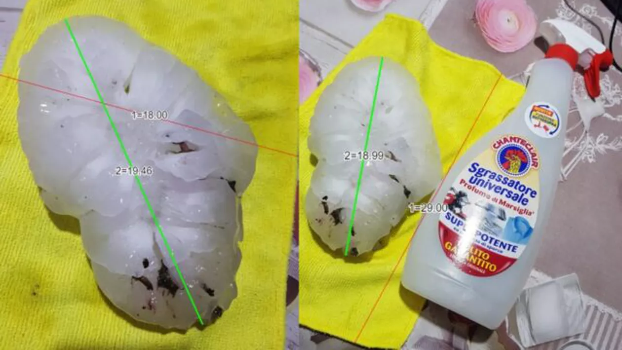 Grindină cu diametrul de 19 centimetri, record pentru Europa, a lovit nordul Italiei