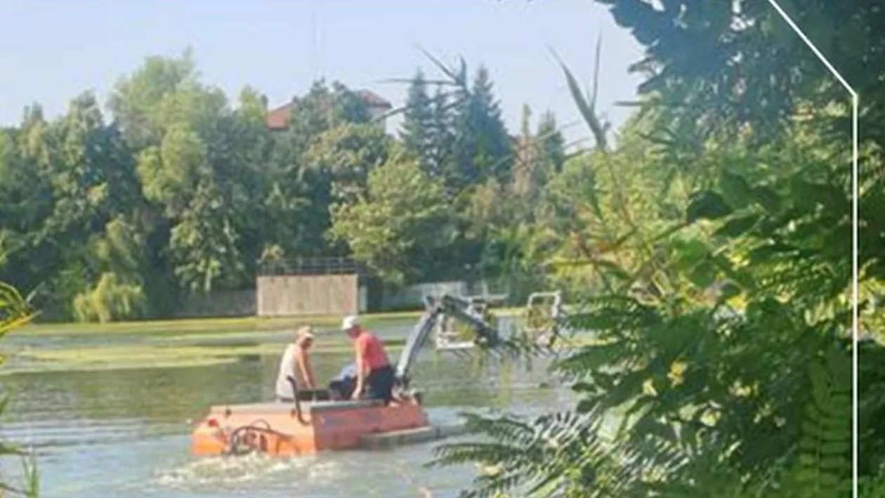 Consiliul Județean Ilfov: Joi, 27 iulie, facem curățenie pe lacul Mogoșoaia! Ne dorim să readucem strălucirea și sănătatea lacului