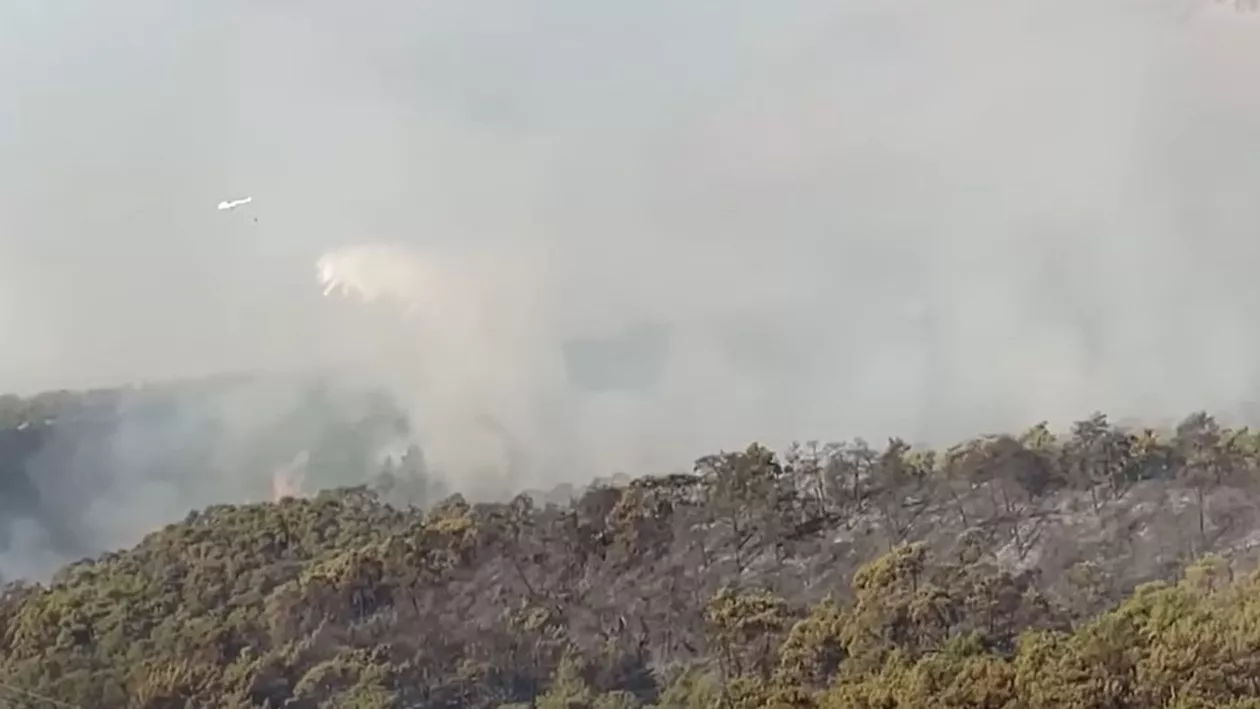 Evacuări din cauza incendiilor de vegetaţie în Turcia. Situație critică în regiunea turistică Antalya (VIDEO)