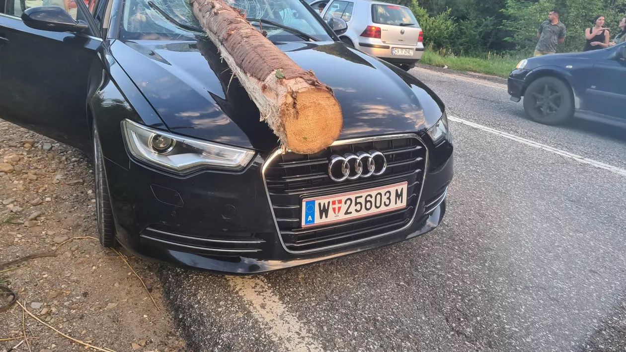 TIR-ul din care a căzut un buștean și a străpuns parbrizul unei mașinii transporta mai multe lemne decât erau trecute în acte. Ce amendă a primit