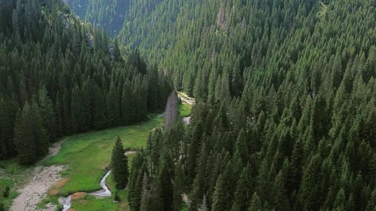 De ce se percepe taxa de acces în Parcul Natural Bucegi. Explicațiile administratorilor