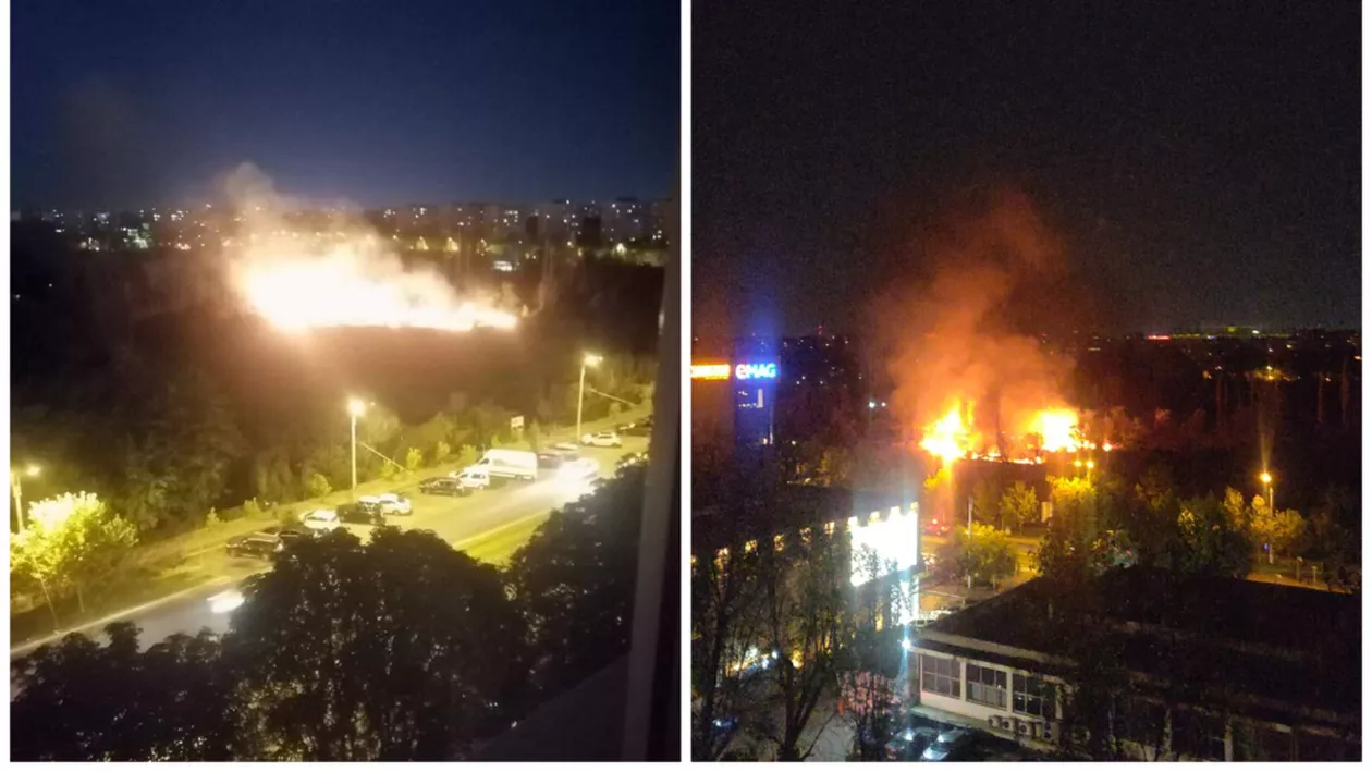 Incendiu masiv pe partea retrocedată din Parcul IOR (VIDEO)