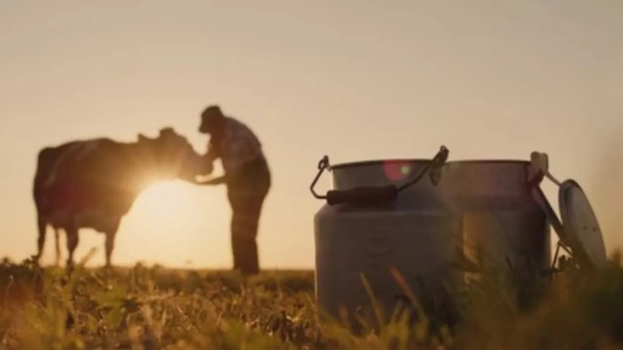 Fermierii, victimele noilor modificări fiscale / Guvernul vrea să dea afară angajații care gestionează subvențiile agricole