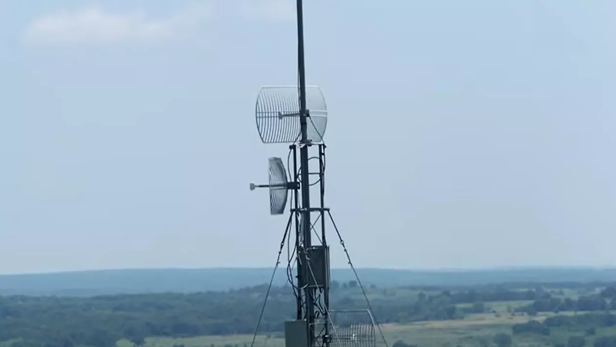 Guvernul francez a comandat o anchetă pentru a verifica dacă e posibil ca rețelele de telefonie mobilă sau electrice să ucidă vacile
