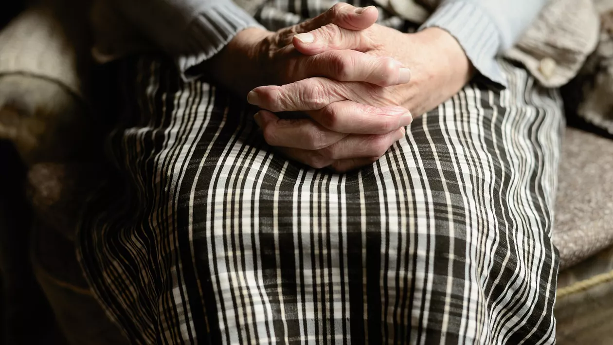 Azilul groazei din Voluntari, închis a două oară în urma neregulilor găsite. Administrator: „Sunt eu cu cățeii și pisicile. Cine să mai facă curat?”