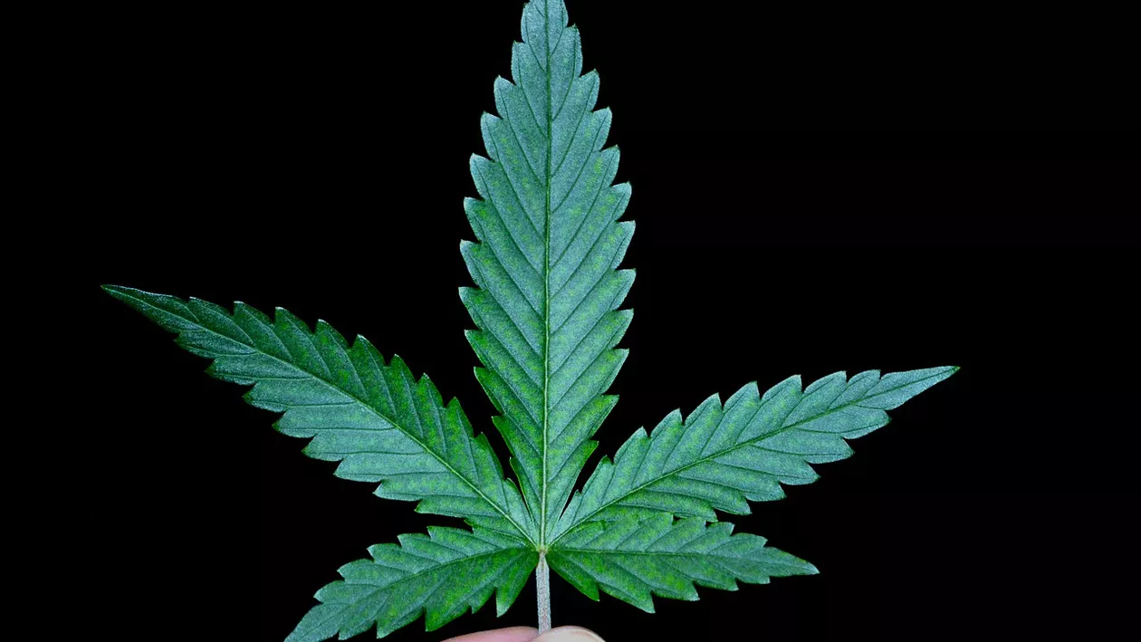 Sondaj: Doar 16% dintre români sunt de acord cu legalizarea drogurilor ușoare, 76% se opun