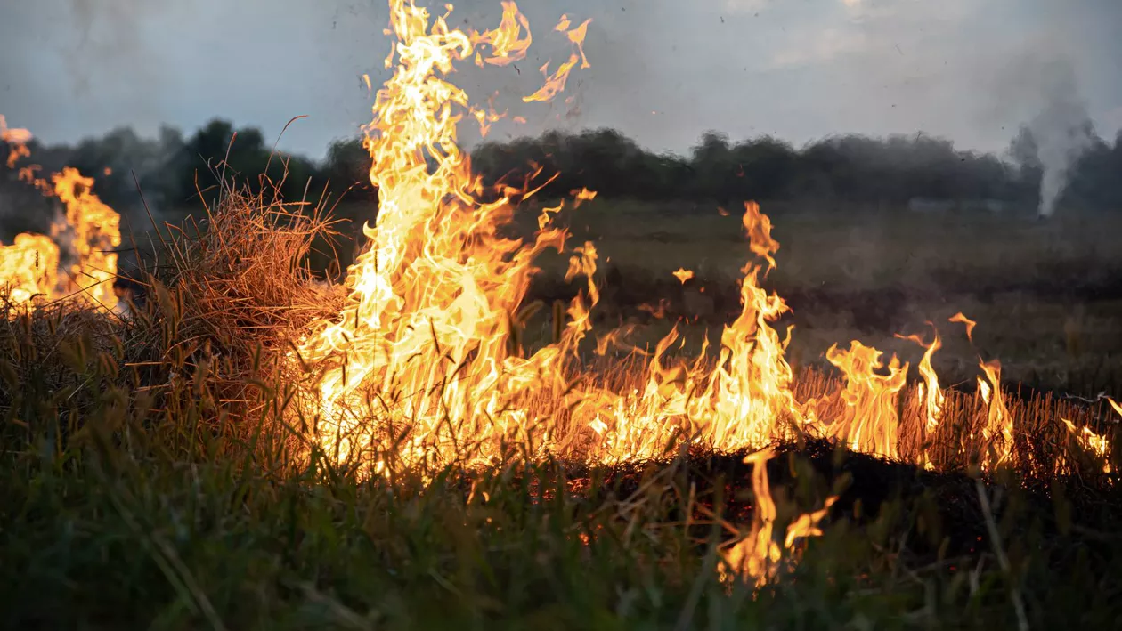 Pompierii din Mehedinți au lucrat la foc automat, în weekend. Peste 300 de hectare de vegetație au ars în urma incendiilor