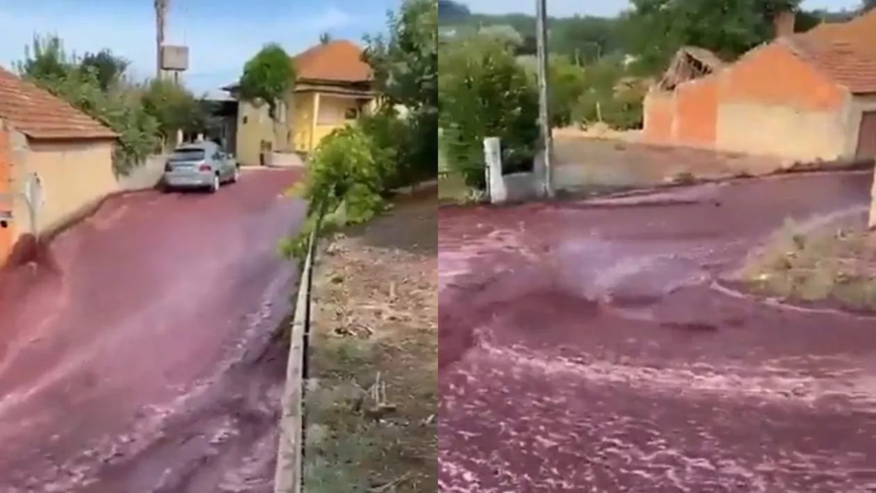 Inundații cu vin într-un sat din Portugalia / Motivul pentru care s-au scurs aproximativ două milioane de litri (VIDEO)