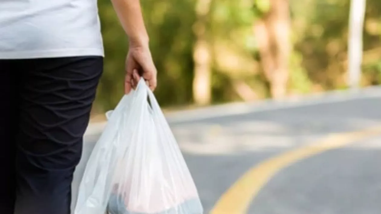 California: Folosirea tuturor pungilor de plastic, interzise din 2026