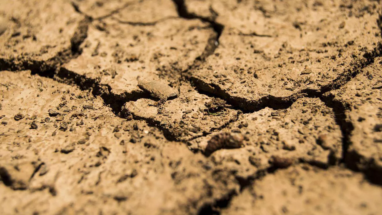 Seceta a transformat kilometri întregi din sudul țării într-un deșert