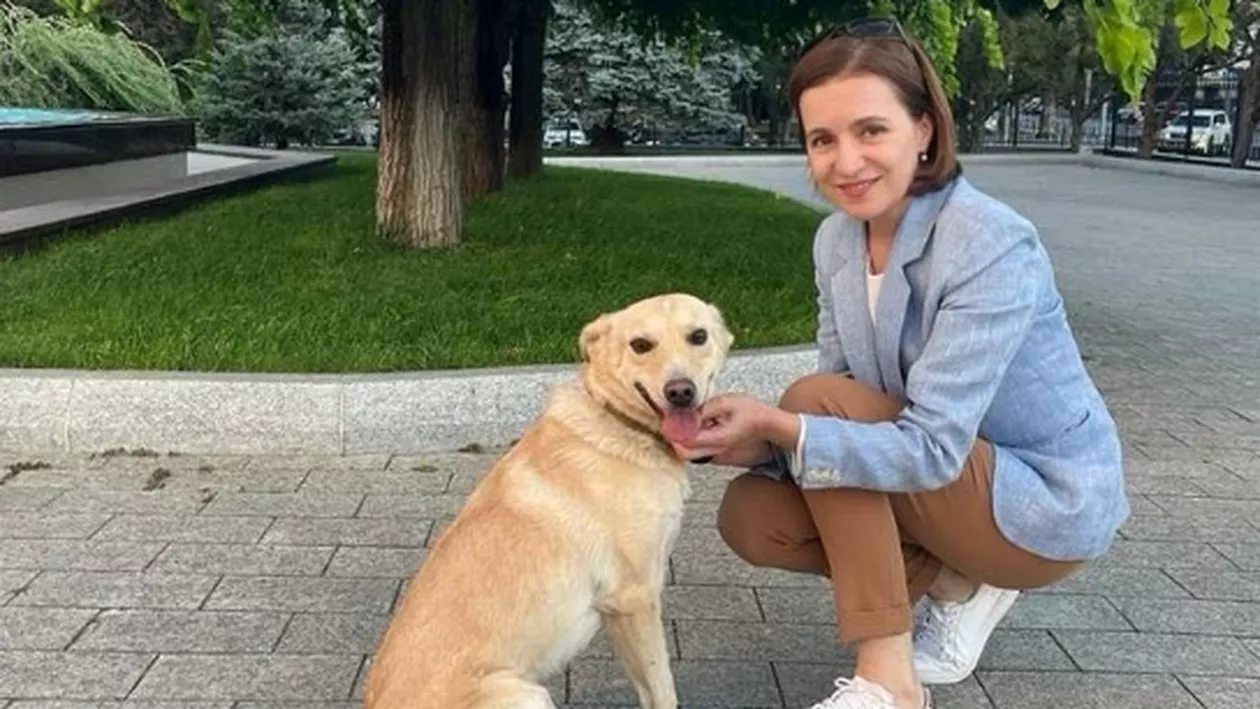 „Codruț face parte din echipa noastră”. Maia Sandu are un nou membru la Președinție / Șefa statului a fost laudată pentru gestul său mărinimos