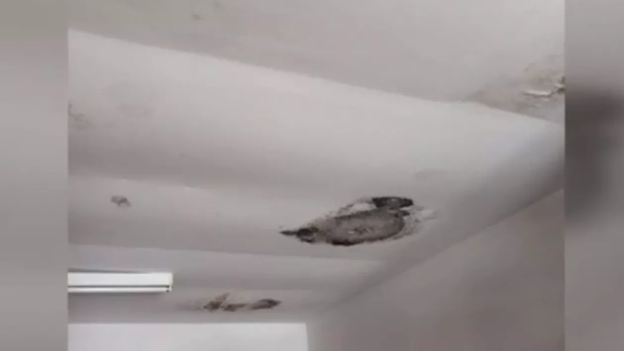 Nereguli grave descoperite de ANPC în centrele de copii din Giurgiu. Șeful DGASPC: „Eu nu mă pun acum să bag bani”