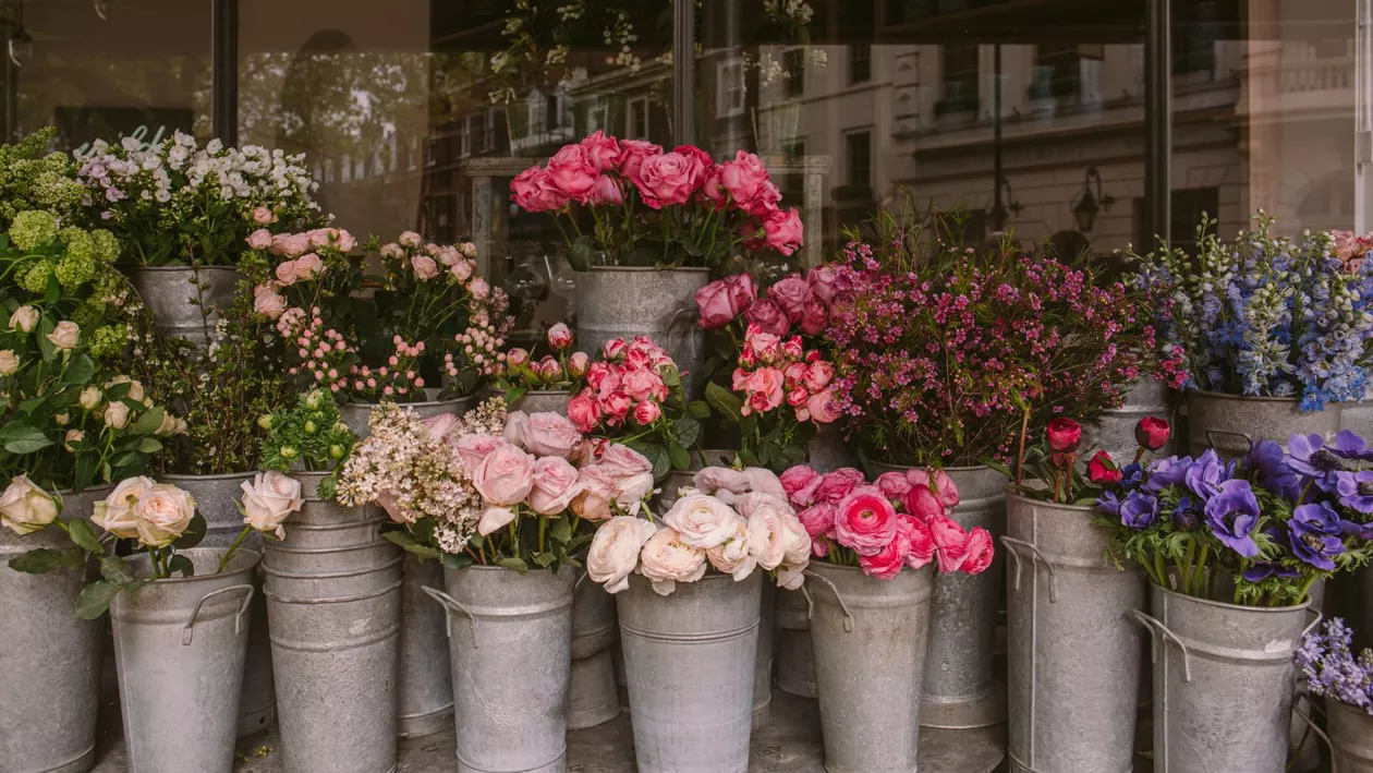 Un florar din Sibiu doarme în microbuz pentru a-și păzi sera. „Sunt luni de zile de când n-am dormit acasă