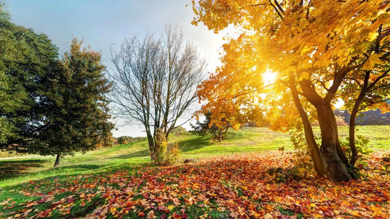 Prognoza meteo pentru următoarele 4 săptămâni. Cum va fi vremea în această lună