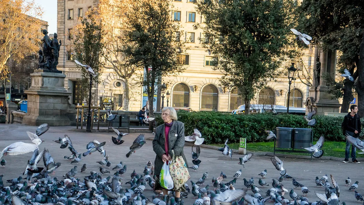 București: Un bărbat a primit amendă după ce a hrănit porumbeii. Polițist: „6.500 de lei amendă, fără să stăm la discuții!”