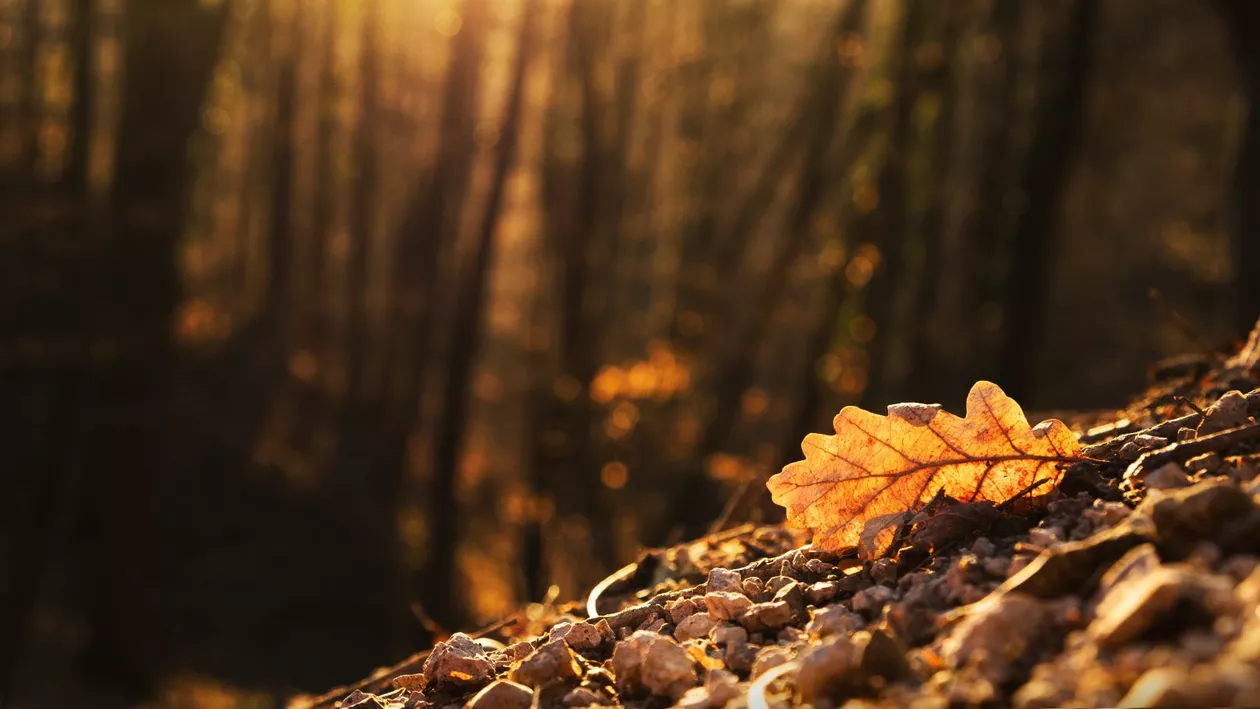 Prognoza meteo pentru 2 săptămâni. Cum va fi vremea în perioada 9  – 22 septembrie