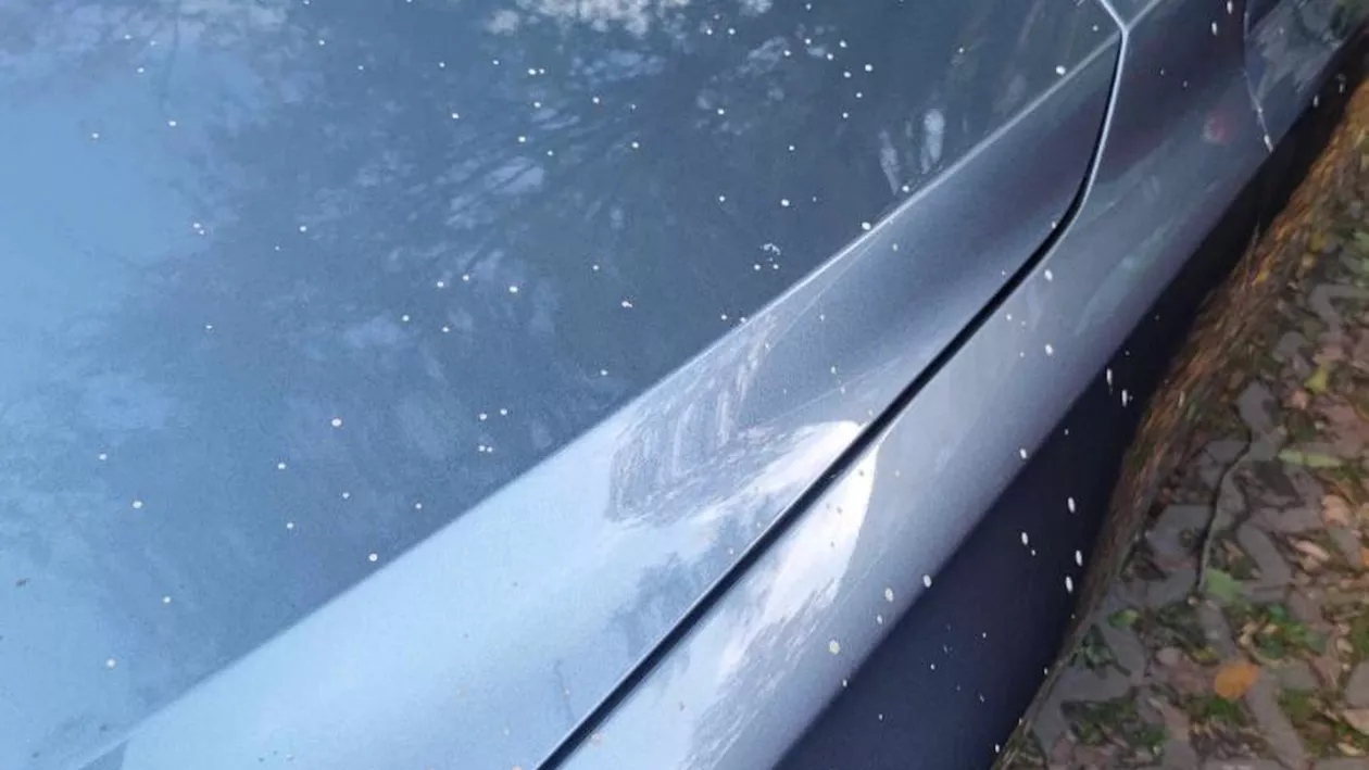 Bucureștean furios după ce a pățit la mașină în trafic. „O să aveți nevoie de o revopsire”