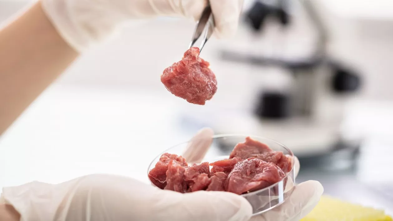 Tensiuni în parlamentul italian pe fondul interzicerii cărnii produse în laborator