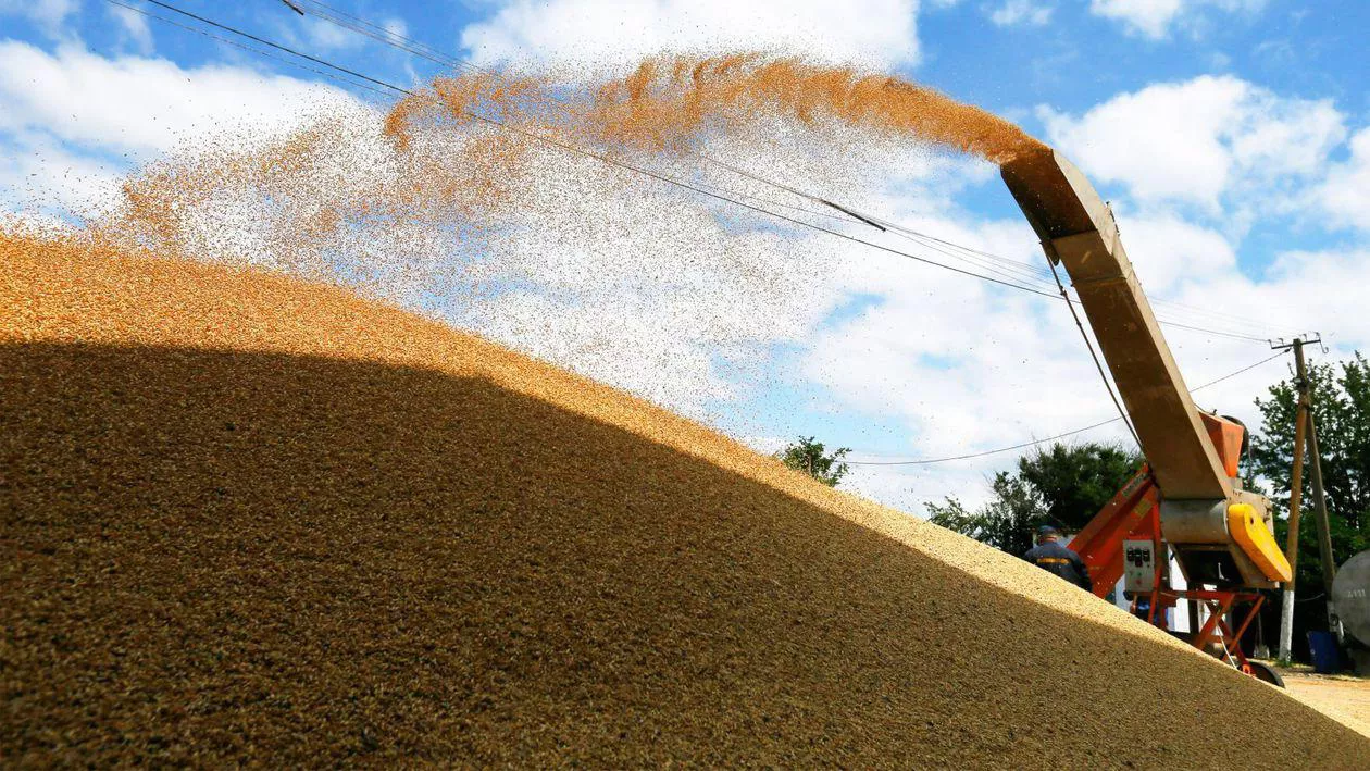 România, Bulgaria, Polonia, Ungaria şi Slovacia cer Comisiei Europene taxe de import pentru cerealele ucrainene
