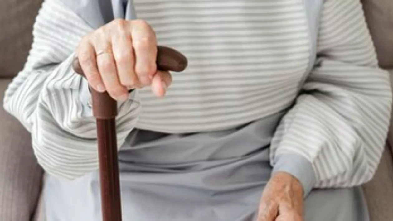 Parazitul existent la pisici care afectează persoanele în vârstă. Cum se produce infectarea