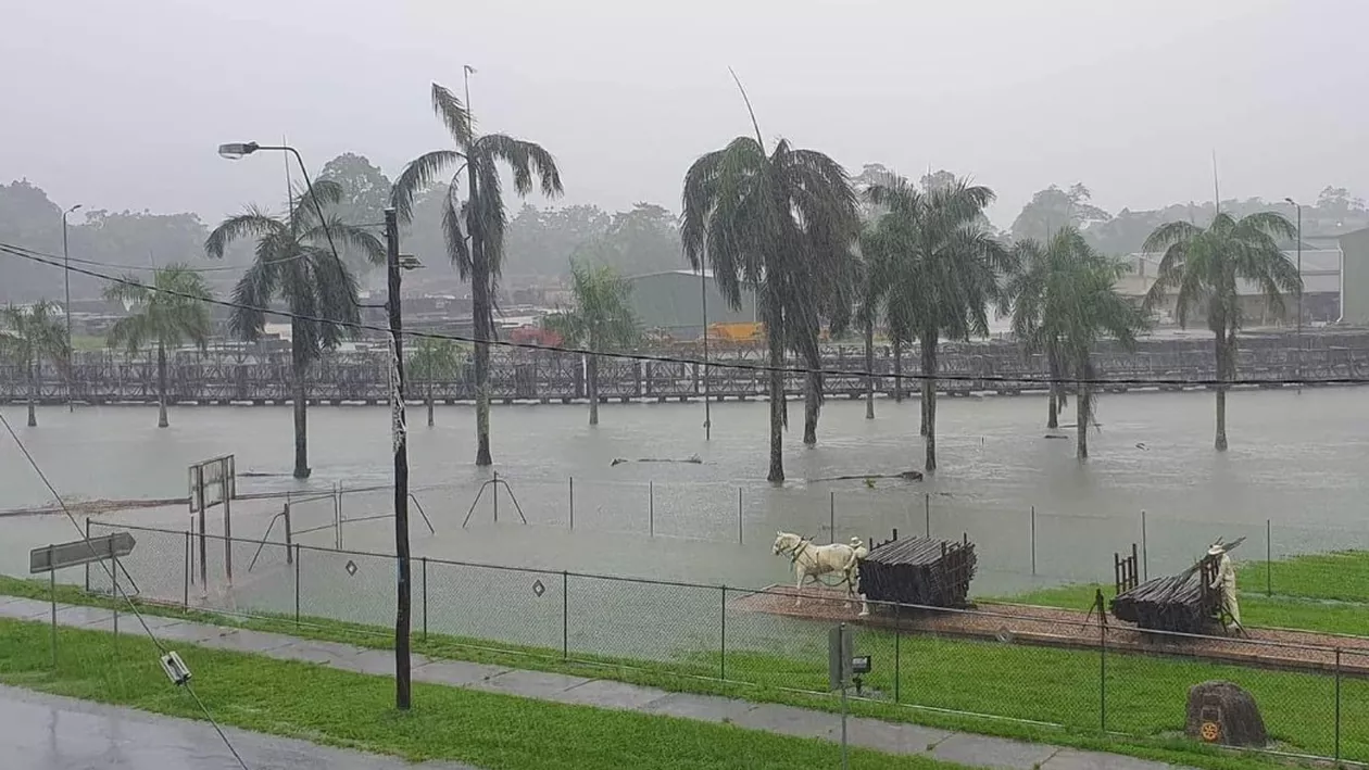 Sute de persoane evacuate în urma inundațiilor din Australia! Crocodilii au ajuns în mai multe orașe: „O situație disperată”