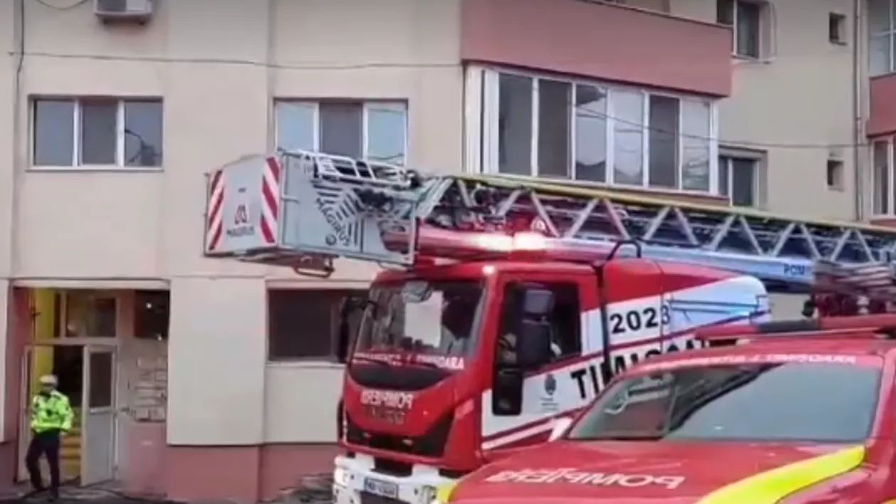 O tânără din Timișoara a fost salvată de pisicile sale de incendiul care izbucnise în bucătăria ei