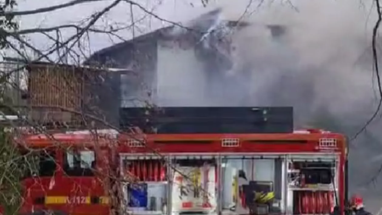 Incendiu la Taverna Racilor. Prima reacție a lui Pescobar (VIDEO)