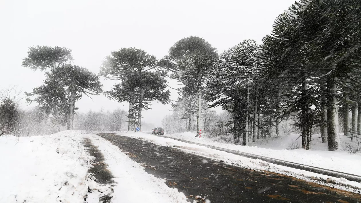 Un episod de vreme severă lovește România. Zonele cele mai afectate de furtuna Pia: „Va fi viscol puternic”