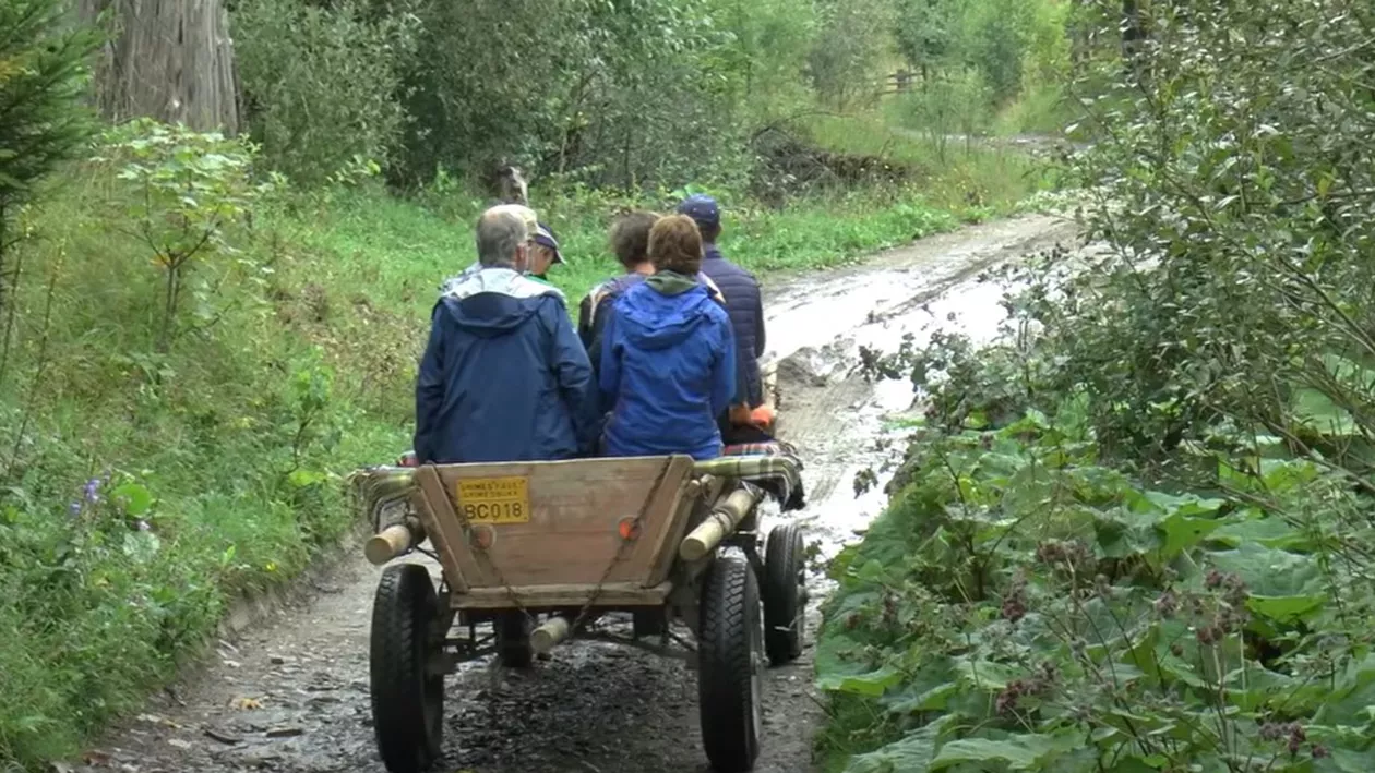 Se anunță noi proteste și greve: Peste 11.000 de salariați din 800 de primării din mediul rural cer salarii mai mari