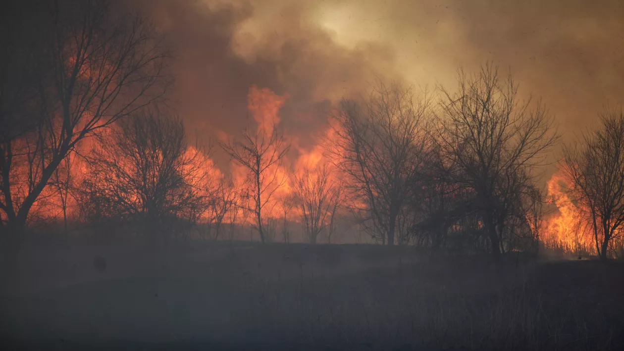 Un sat din Mehedinți, la un pas de a fi distrus de flăcări. Pompierii se luptă de câteva zile cu incendiile de vegetație