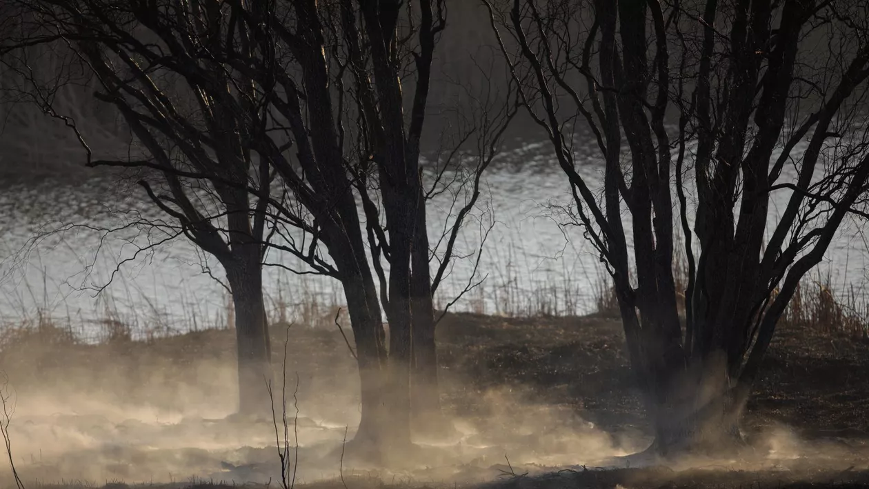 Brașov: Incendiu de pădure de la Ucea a fost stins. Două zile s-au luptat pompierii cu flăcările