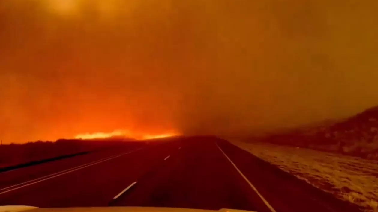 Incendiul de vegetație din Texas a devenit cel mai mare din istoria statului. Peste 480.000 de hectare au fost afectate