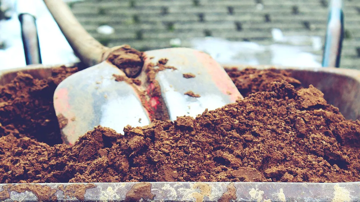 Ce a descoperit un cuplu în grădina casei, sub o placă de pavaj. Ei au început căutările după ce vecinii le-ar fi spus că există ceva care datează de mult timp