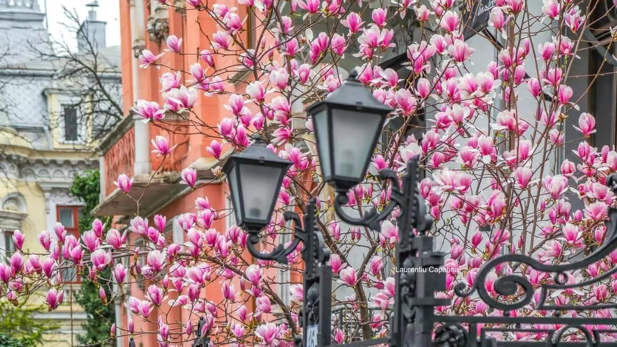 Prognoza meteo pentru 2 săptămâni. Peste 27 de grade Celsius, la început de aprilie