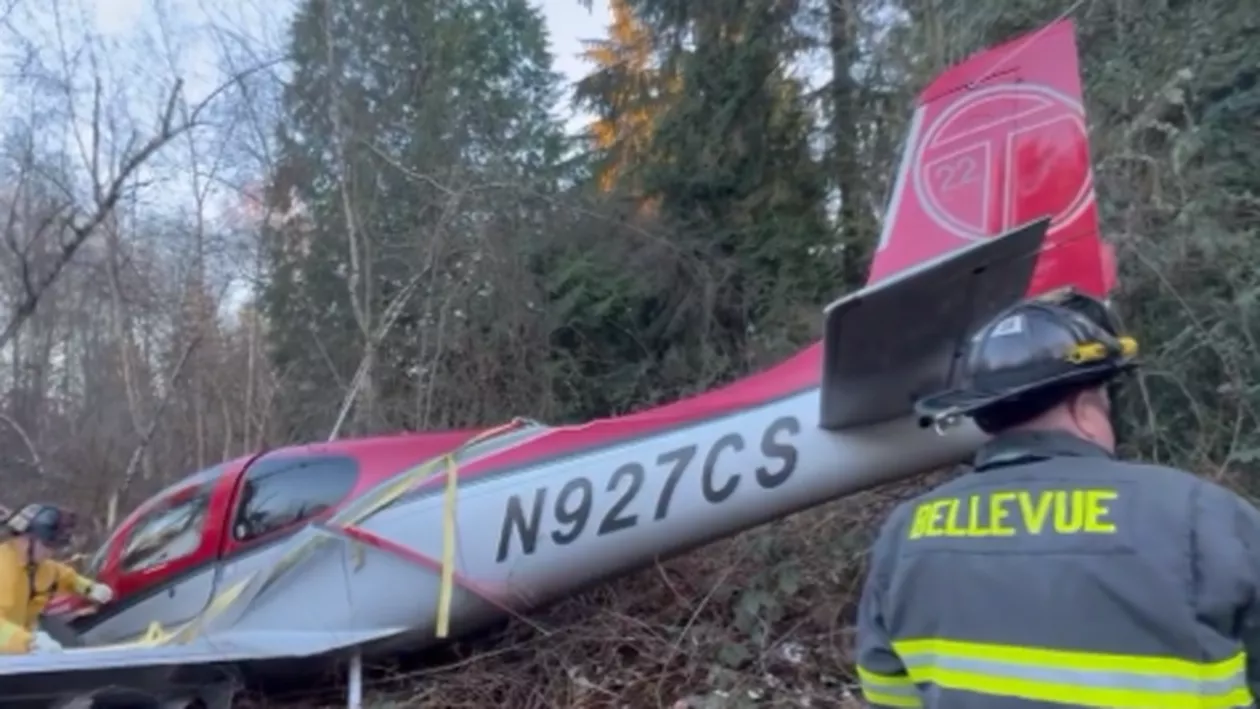 Un avion s-a prăbușit într-o pădure din SUA. Persoanele de la bord, salvate de o parașută de la o posibilă tragedie (VIDEO)