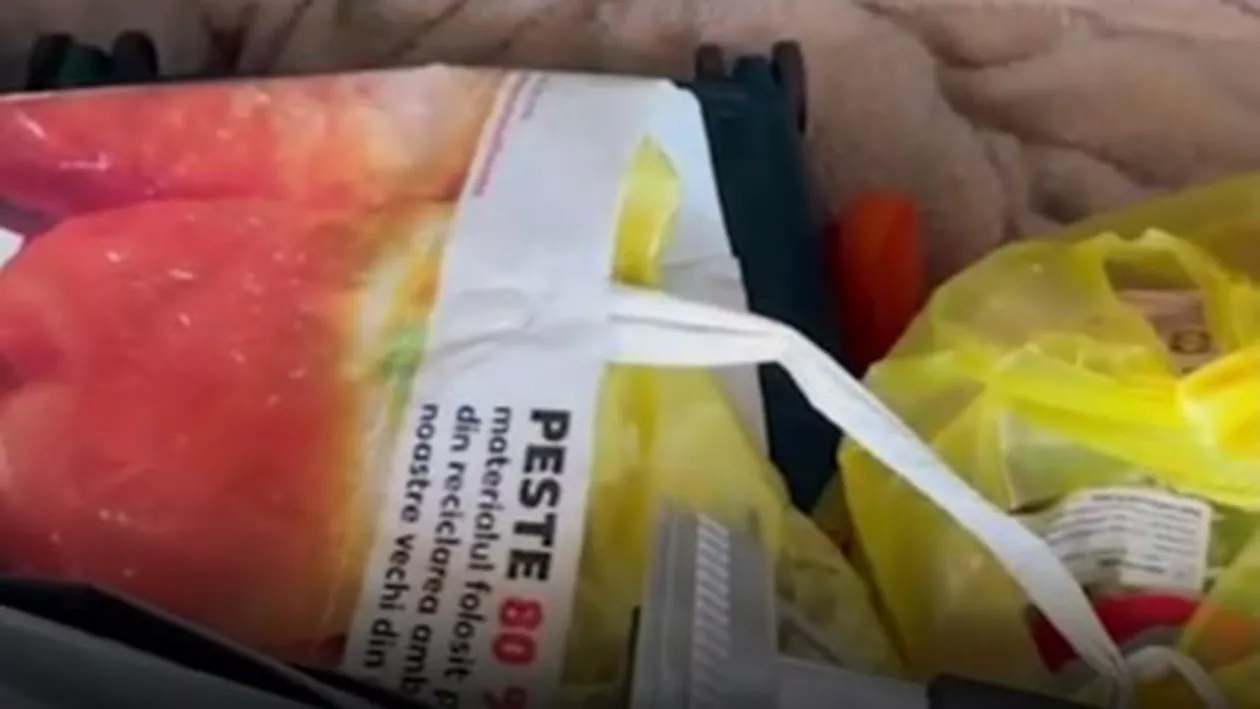 Polițiștii din vama Cenad, descoperire uimitoare în portbagajul unui pakistanez. Ce au găsit în mașină