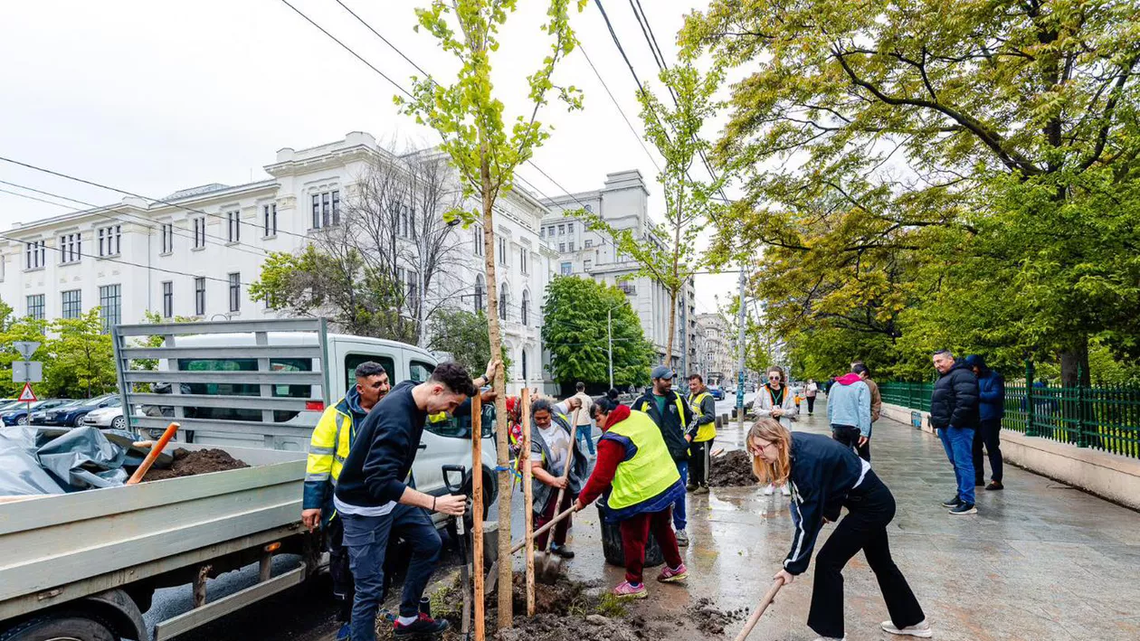 Nicușor Dan: Am început plantarea celor aproape 100 de arbori tineri în zona Parcului Cișmigiu, în cadrul proiectului Coroană Verde pentru Regina Elisabeta (FOTO)