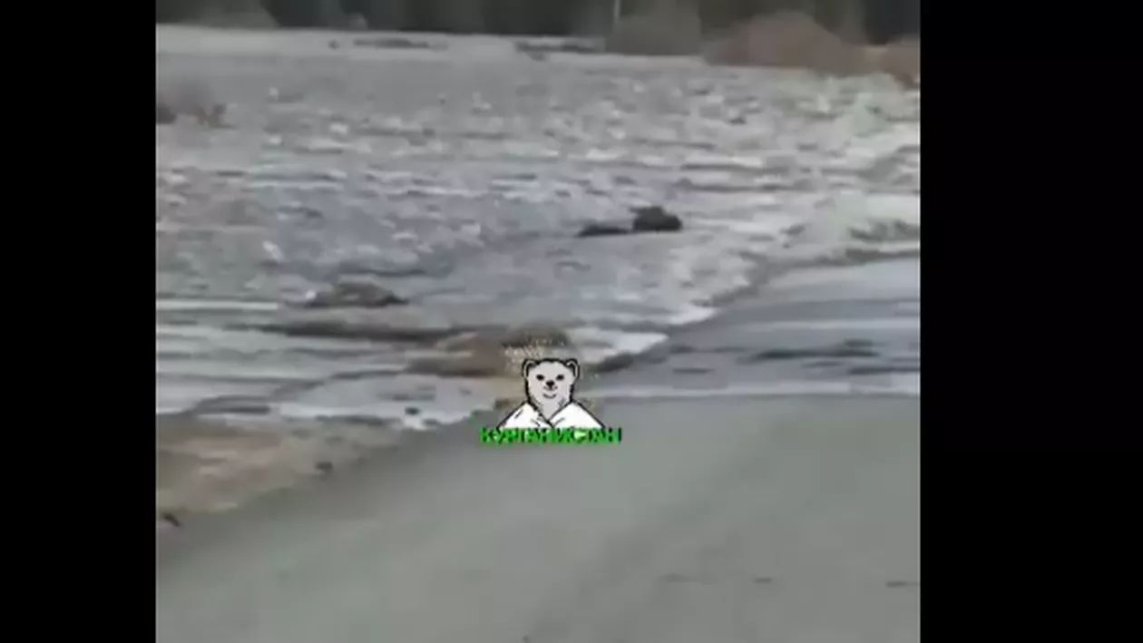 Pericol de infestare cu uraniu după ce un puț din Rusia a fost inundat. Avertismentul ecologiștilor (VIDEO)