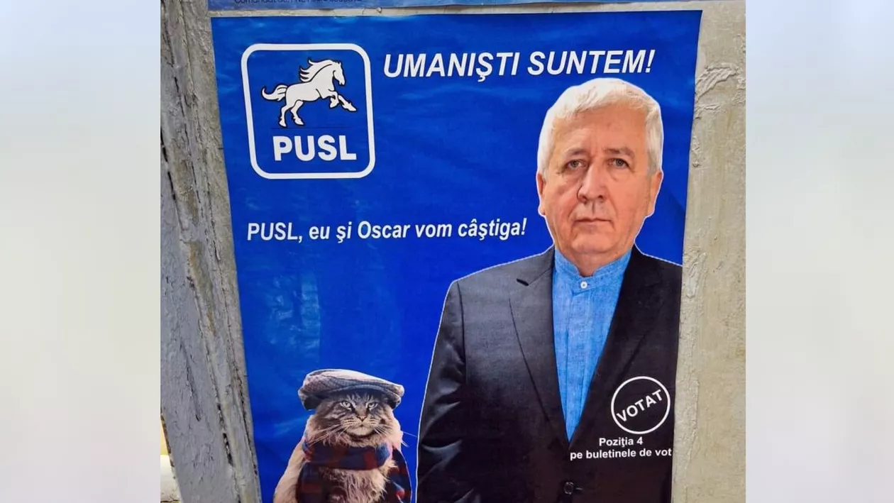 Țeapă electorală cu pisici. Pe motanul care apare pe afișul de campanie al candidatului PUSL la Primăria Suceava nu îl cheamă Oscar și e, de fapt, din Berlin. Felina e celebră pe internet (FOTO, VIDEO)