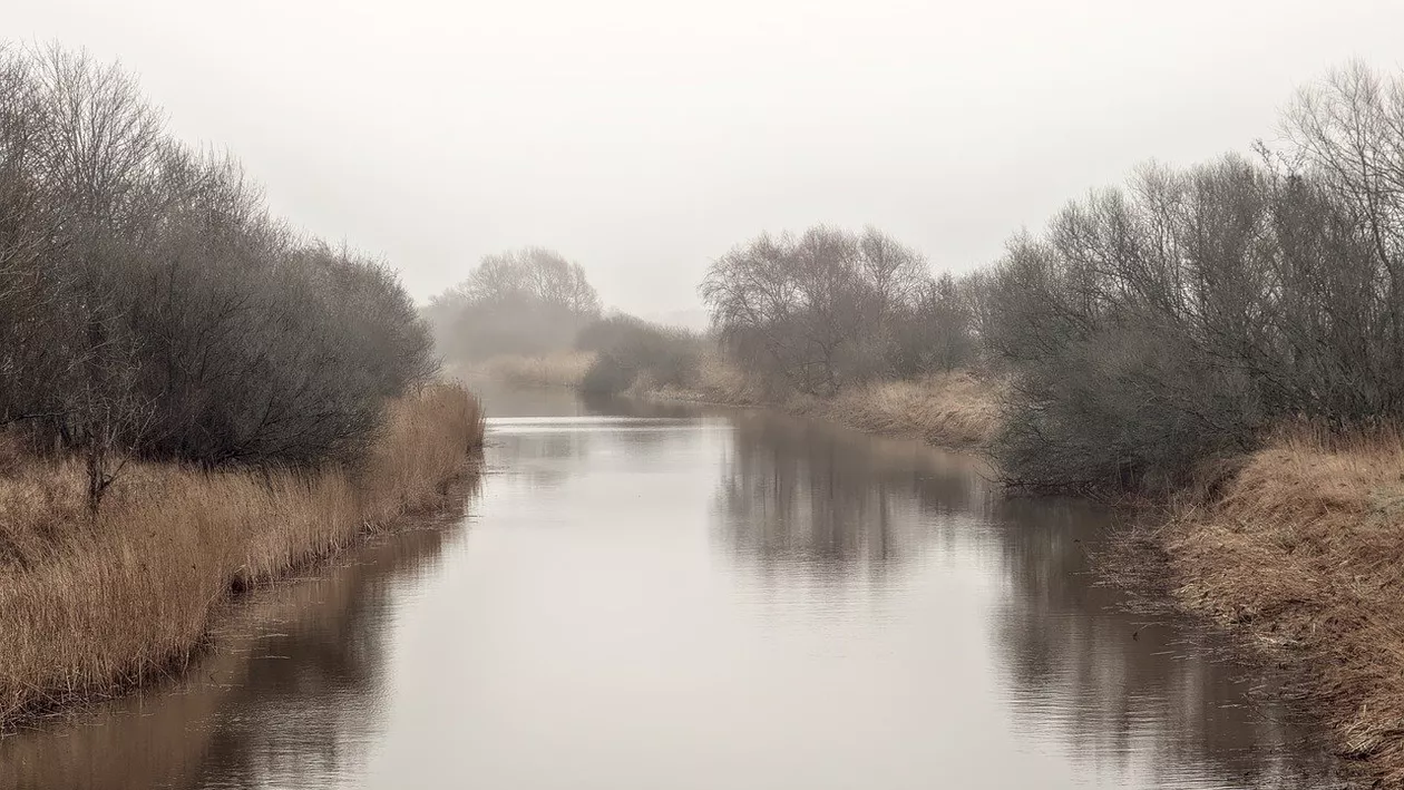 Un bărbat a căzut în râul Mureș. Salvatorii au început căutările